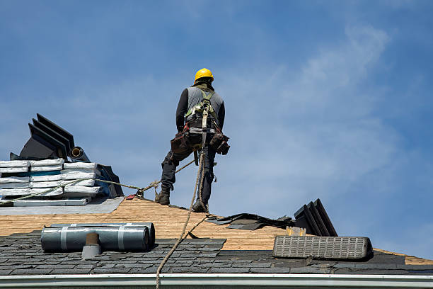 Professional Storm Damage Roof Repair technician working in Buchanan, TN
